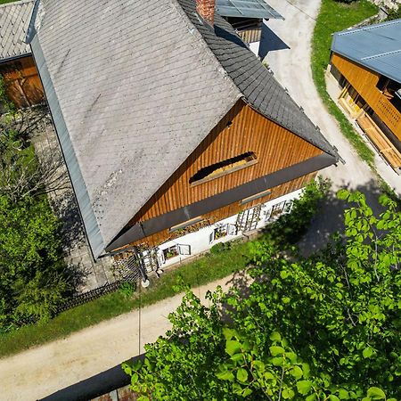 House, Garden And A Green Cat بليد المظهر الخارجي الصورة