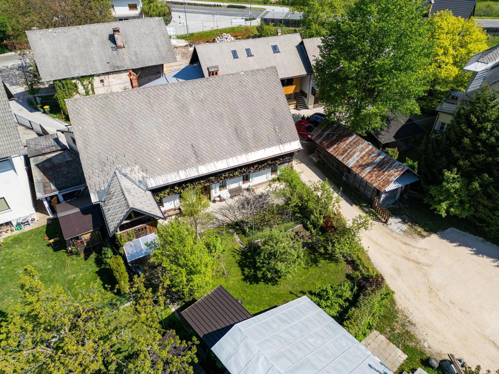 House, Garden And A Green Cat بليد المظهر الخارجي الصورة