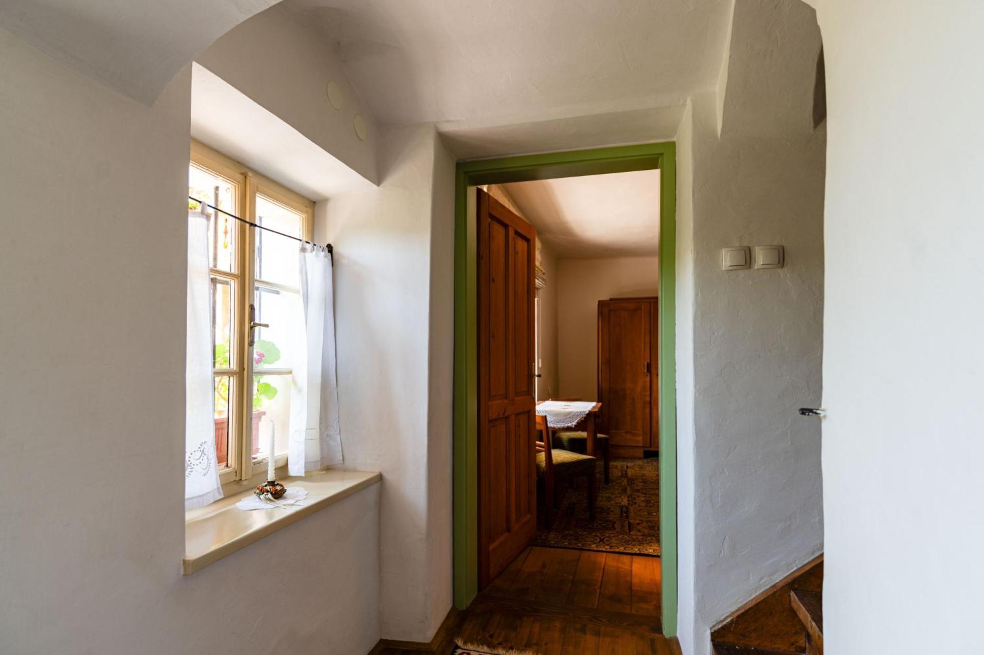 House, Garden And A Green Cat بليد المظهر الخارجي الصورة