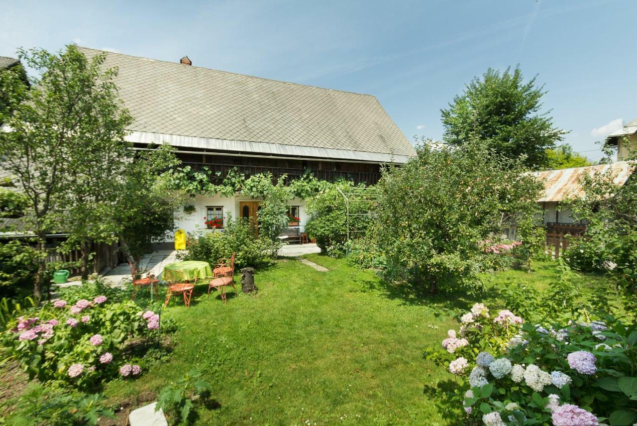House, Garden And A Green Cat بليد المظهر الخارجي الصورة