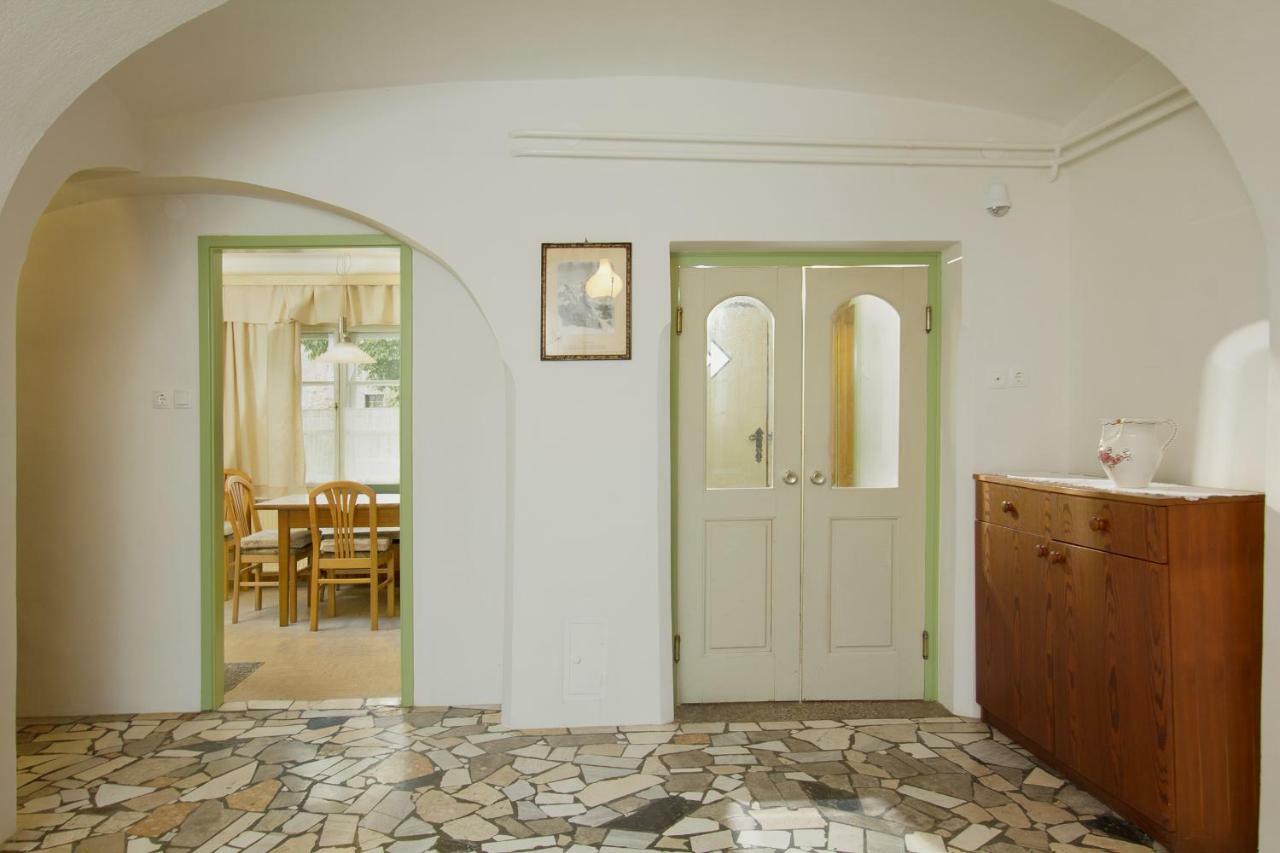 House, Garden And A Green Cat بليد المظهر الخارجي الصورة